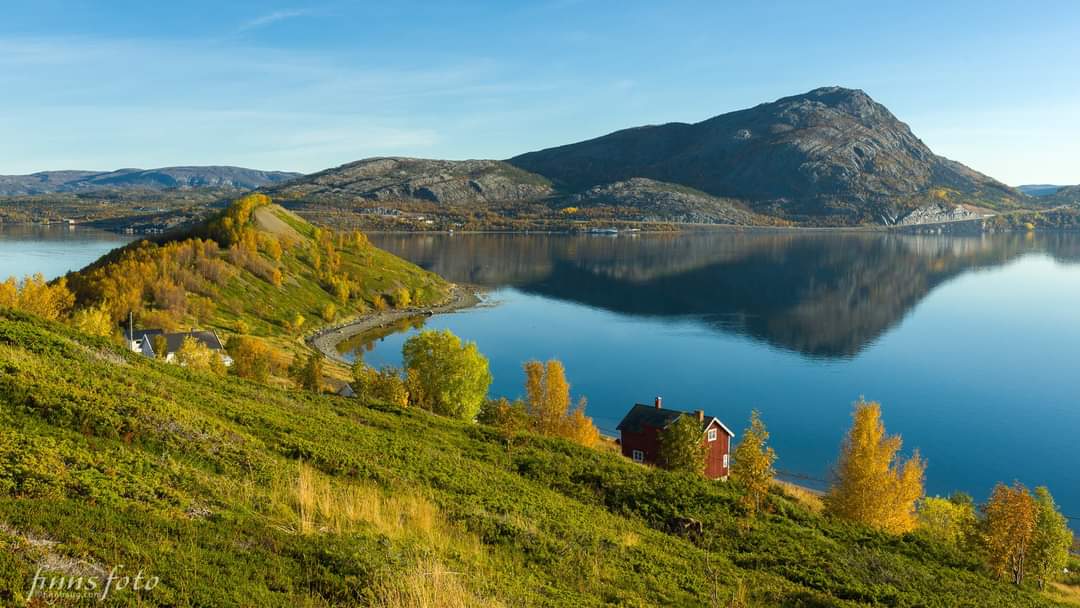 Elusive Moose On Twitter Autumn In Kafjord Just Outside Alta Finnmark Photo Finn Haug Norway Fall Photography Visit Alta Northern Norway Https T Co Nsgnpqeh0l