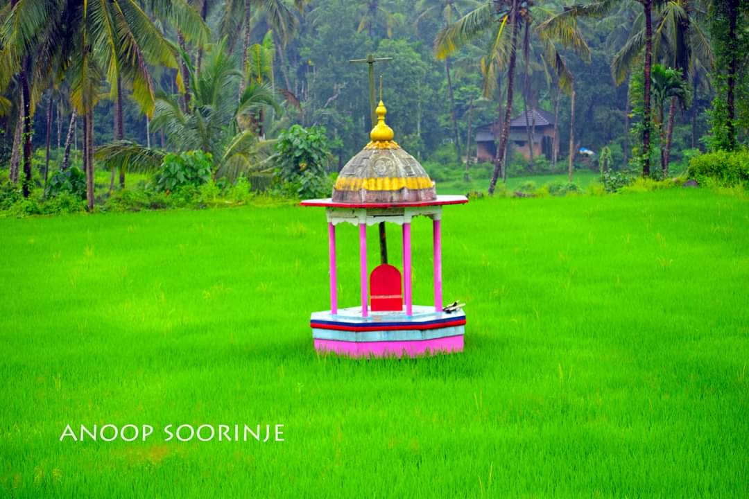 beautyoftulunad's tweet photo. Kodamandaya Sonad Nema - Panjikal Garadi, Bantwal Taluk 13.09.2020 | ಕೊಡಮಂದಾಯ ಸೋಣದ ನೇಮ - ಪಂಜಿಕಲ್ಲು ಗರಡಿ, ಬಂಟ್ವಾಳ (1/2)

#TuluCulture #Tulunad #Tulu #Porlu https://t.co/t6xdZkNnMG