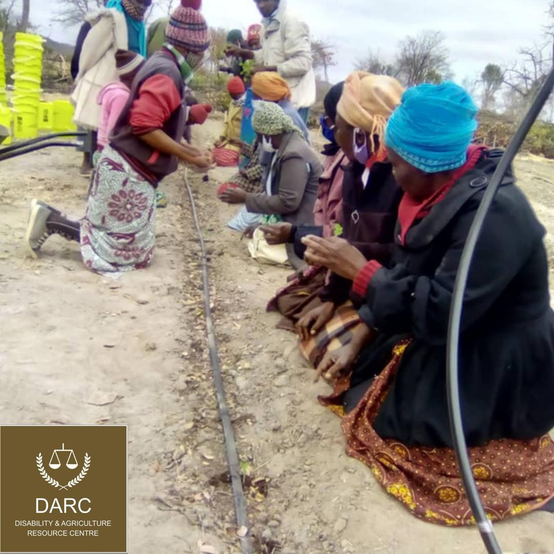 DarcTrust's tweet photo. Gwanda you were amazing. #womeninagriculture #investinruralpeople #darctrust #syngentazw #COVID19 https://t.co/v7E2a5Ifse