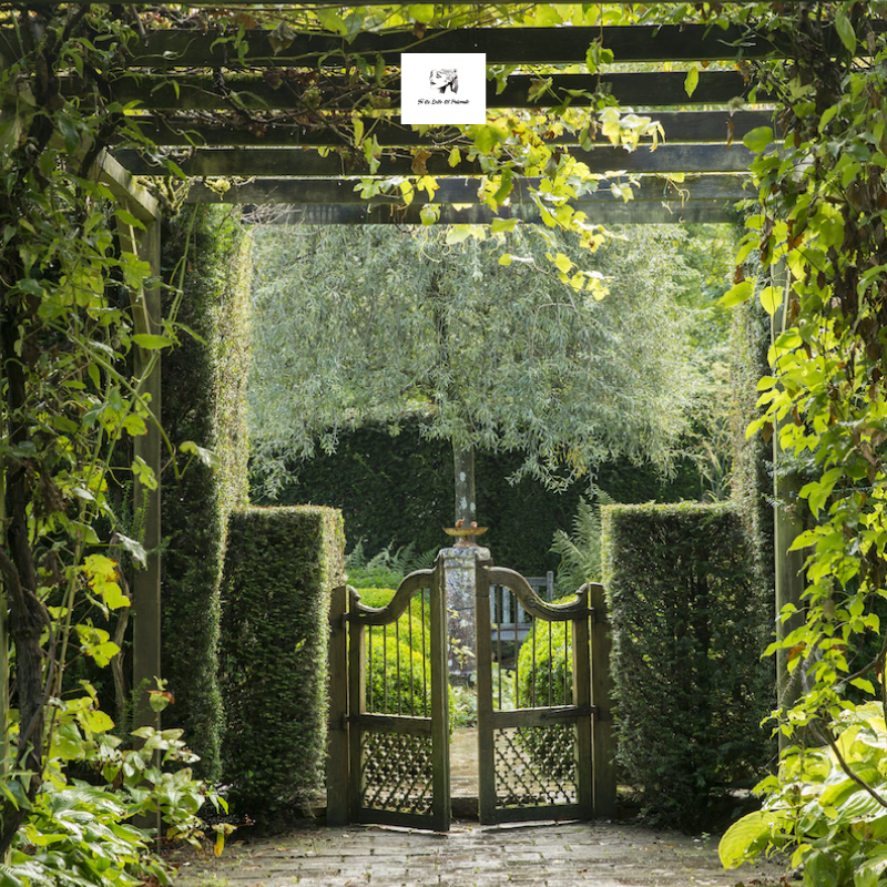 EnsembleTebep's tweet photo. A wonderful garden.
 Photo by #sibyllepietrekphotographin #sibyllepietrek 

MFCH Sept/Oct 20, on sale https://t.co/755iGXFvj5 #Tebep #TuesBelleetPuissante #YouBeautiful #YouPowerful #woman #frenchstyle #Paris #fashion 
dorOFitAll #mfchmagazine #myfrenchcountryhome https://t.co/iNLxcuqBYd