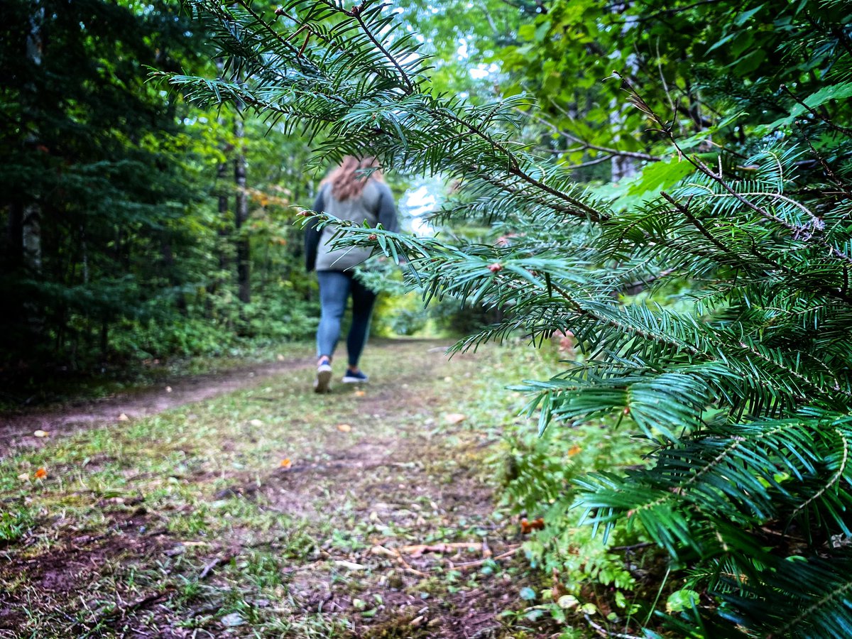 OldDadRevival's tweet photo. It was an overcast and dreary day, but we still made the Hiking Club Trail loop while camping at Moose Lake State Park.

#minnesotastateparks #mooselake #mooselakestatepark #mnhiking #hikingclub #mnstateparks #rvlife https://t.co/8KD6JxF8ZS