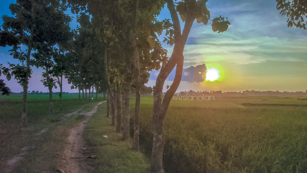 Arslanalan07's tweet photo. #sky #nature #cloud #horizon #arslanalan #note5pro #sunset #afterglow #evening #atmosphere #sunrise #morning #dusk #redskyatmorning #tree #landscape #sunlight #heat #dawn #world #india #bihar #night #sun #mobilephotography #mobileclick #redminote5pro #blue #evening #palmtree https://t.co/fWKH0jkKZ1