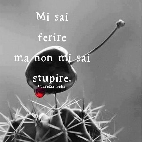 LucreziaBeha's tweet photo. Mi sai ferire ma non mi sai stupire. Lucrezia Beha
#lucreziabeha #lucreziabehaofficial #lalunanelcuorelanottenelsangue #frasi #citazioni #aforismi #pensieri #amore #ferire #stupire #goodmorningworld https://t.co/VDUDBTmQFi