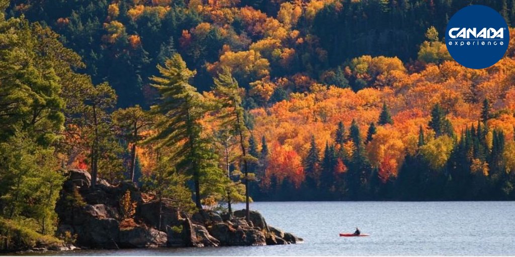 CanadaExperienc's tweet photo. Durante l'Estate Indiana, i boschi e la natura si tingono di vibrazioni rosse, arancio, giallo, verde e marroni. ❤️🧡💛💚

Lasciati ispirare dal Canada!
Pianifica il tuo viaggio per Estate 2021 con Canada Experience®. 
#canadapertutti #canadaexperiencetravel #canadaexperience https://t.co/mb5INR1BBS