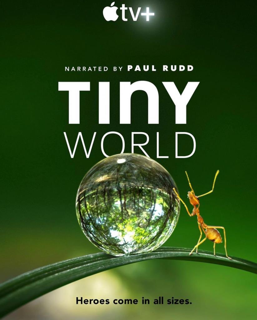 figure_nine's tweet image. Absolutely stoked to have been asked to work on this series. Figure Nine supported Plimsoll productions in the US, Australia and in Madagascar providing safety and rigging for crew and camera and bespoke rope systems for camera moves and rope dolly rigging.