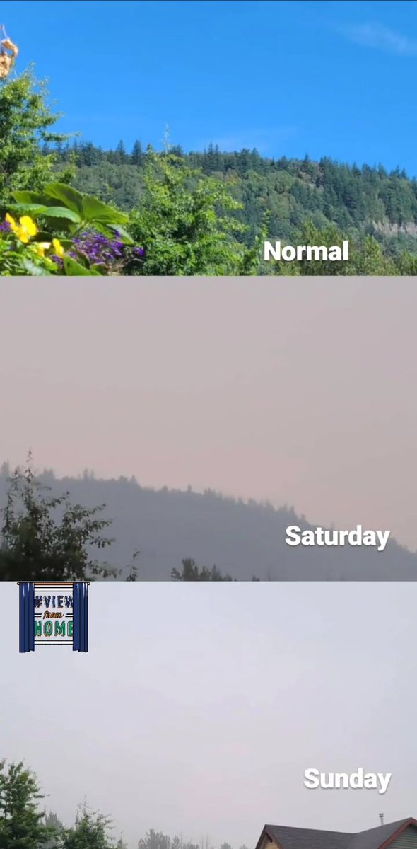 lightfilledart's tweet image. Wildfire smoke progression in #Abbotsford - middle photo was taken September 12, bottom September 13, top was taken in late August. #wildfiresmoke