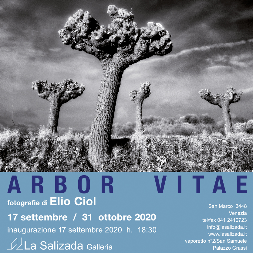 FotoCiol's tweet photo. Foto Ciol News - https://t.co/LTh03usgoL
Elio Ciol e la galleria La Salizada 
sono felici di invitarvi  al vernissage 
giovedì 17 settembre, dalle 18.30 alle 20.30
  "Arbor Vitae"  
Mostra personale di Elio Ciol  
dal 17 settembre al 31 ottobre 2020 https://t.co/8mlBoWZe4v