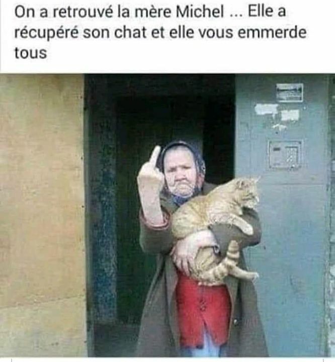 Booster D Humeur Pauvre Mere Michel Humour Meme Drole Chat