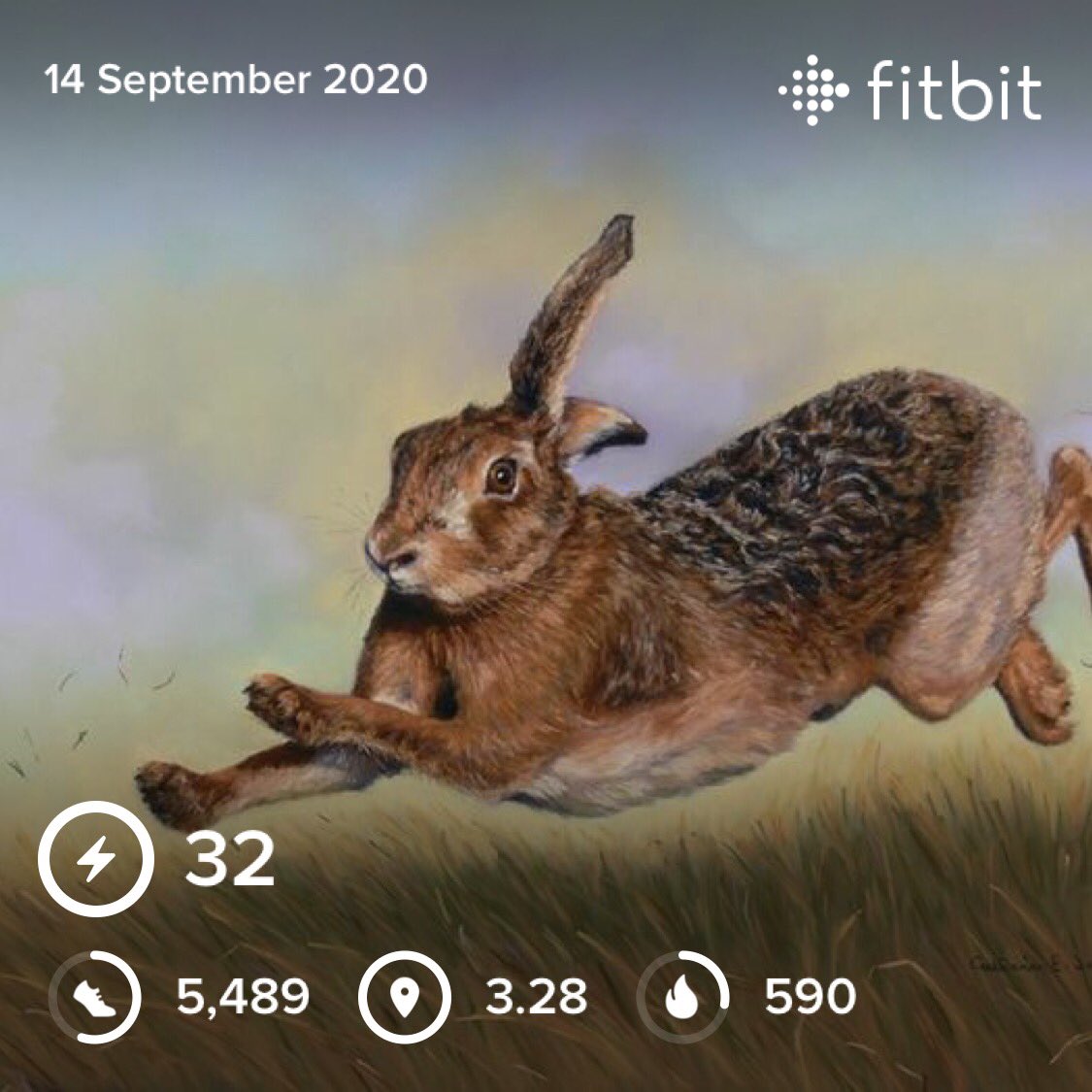 comedyloulou's tweet photo. I surprised myself with this little 3 mile run this morning- I decided to let me body guide me and it seemed it wanted to run. Im buzzing. #postmarathon #postmarathonrun #hillrun #3miler #buzzing #mon #fitbit #slowrun #naturalhigh #letyourbodylead 🏃♀️🚶♀️🏃♀️ https://t.co/BvP5t2SwYH