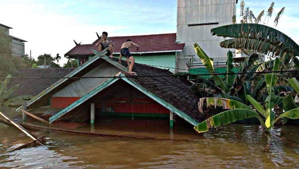 ranuwelum_org's tweet photo. EMERGENCY RESPONSE! Over 100 villages in Central Kalimantan starts to sink because of the flood - https://t.co/wWfPBpn3MX
As much as we are feeling angry, we decide to focus on what we can do for now. Our brothers and sisters urgently need help! https://t.co/KMMpj2DGxv