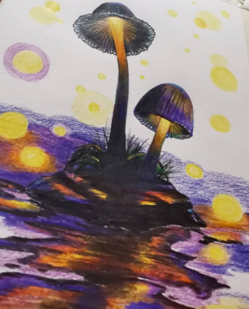 prismatto's tweet photo. 2/3
Y bueno, también estamos los desafortunados que aunque podamos decirlo preferimos guardarlo. ¿Cuándo seremos valientes?
🍂🌱🍃💜💛🧡
#fongus #hongos #bio #forest #draw #color #art #lights #illustration #sketchbook #sketch #pencil #doodle #dibujo #c… https://t.co/UwFFrPweCS https://t.co/kDRTJKWuLT