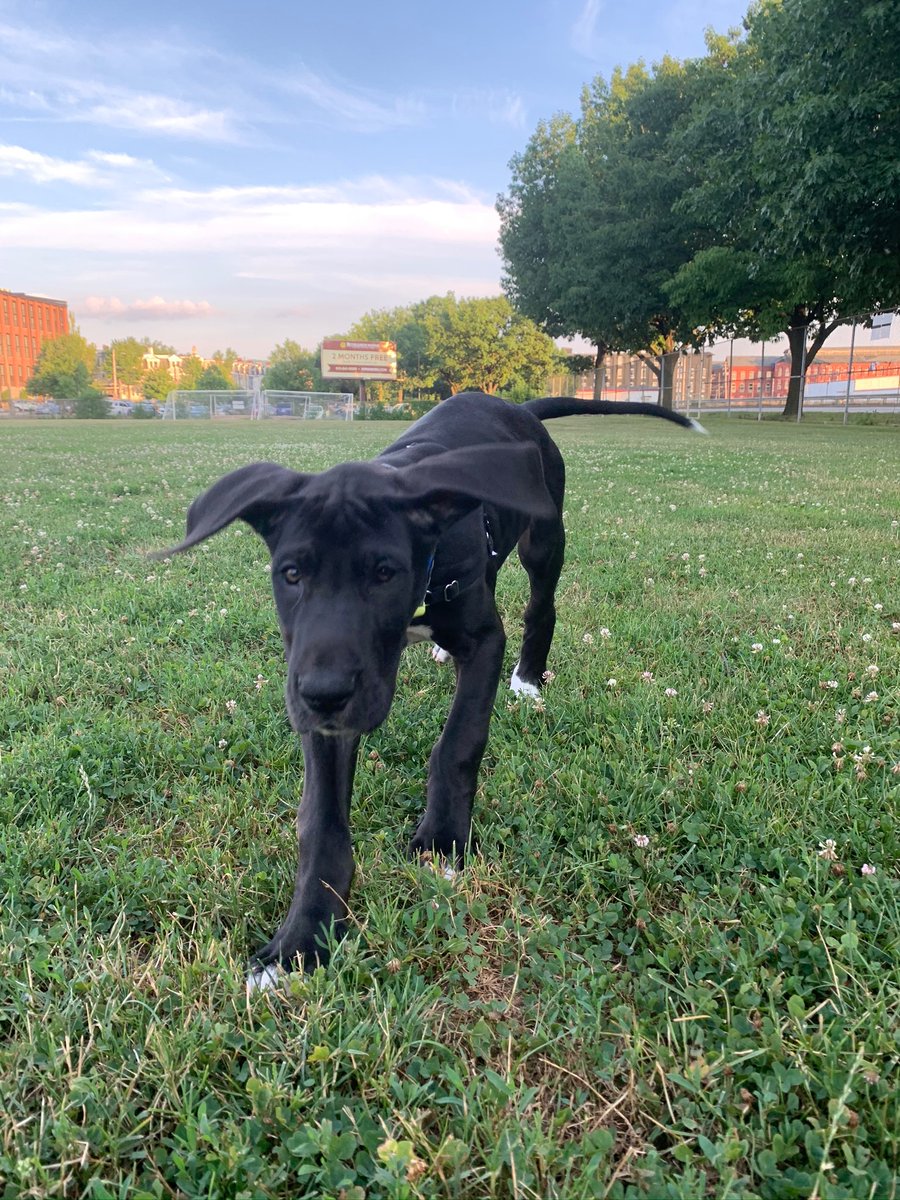 ItsToriCollins's tweet photo. Look at those ears fly #luka #CareCreditSweepstakes https://t.co/HQ8YMOuqBG
