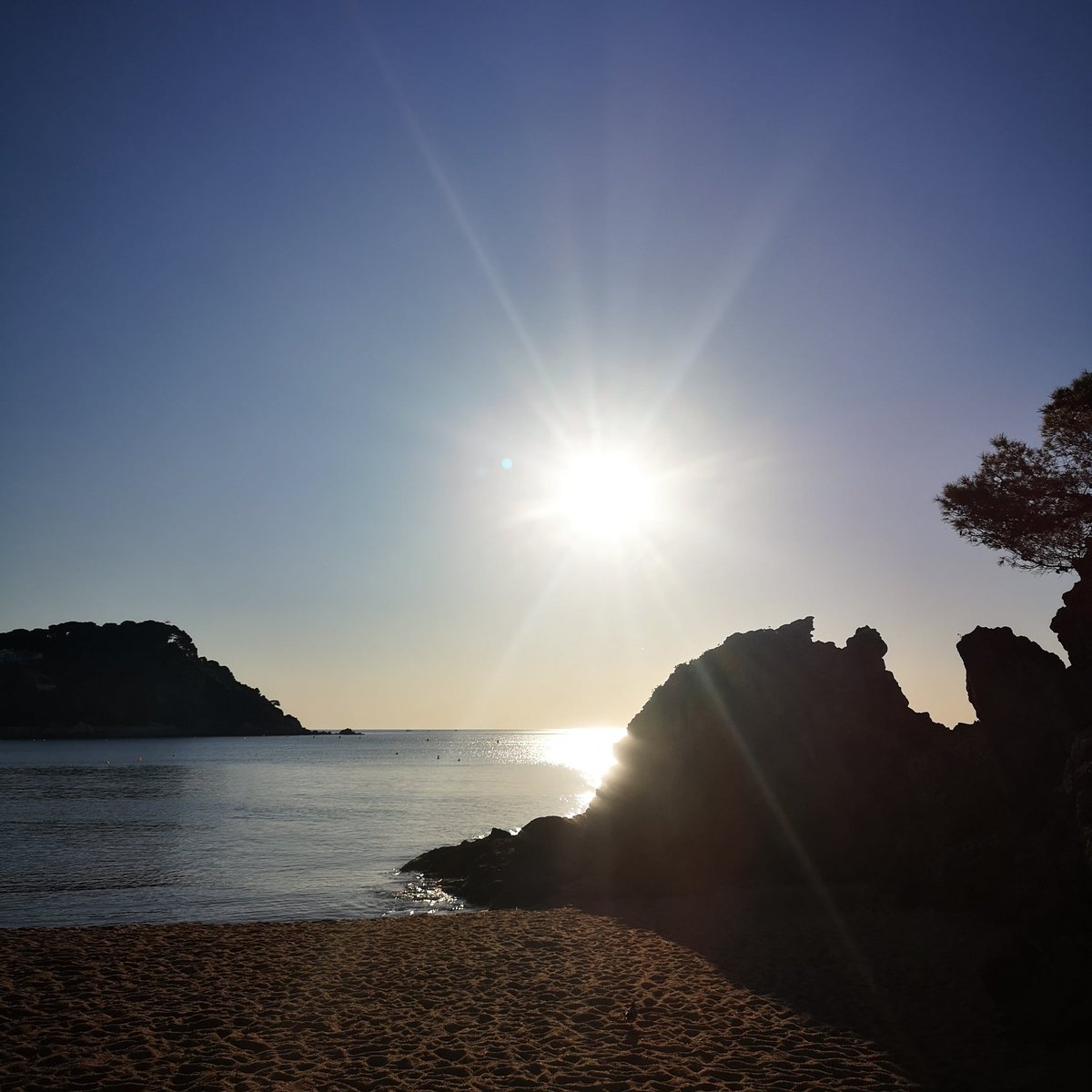 najerayolanda's tweet photo. Good morning
@lloretturisme @AlcaldeLloret
#lloretdemar #lloret_es_molt_mes #aralloret #lloret_avui #Costabrava #visitcostabrava #visitlloret #turisme #turismo #life #wonderful #imatges #imatgescatalunya #thewoldcatalunya https://t.co/v0ye4HSb3u