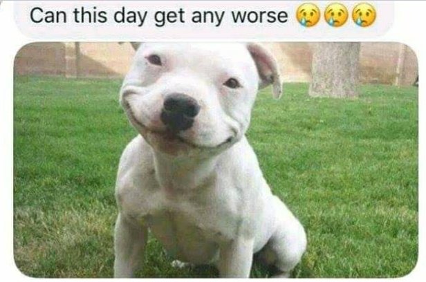 Trip to Versace storeIt ended in tears.Issa thread