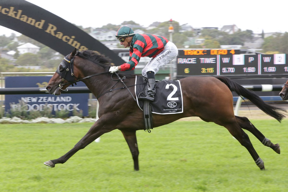 nzracingnews's tweet photo. #DragonLeap has suffered a minor set-back that has curtailed his Sydney campaign. @WexfordStables
https://t.co/VSoX37nUN9 https://t.co/WvTCG8HUU4