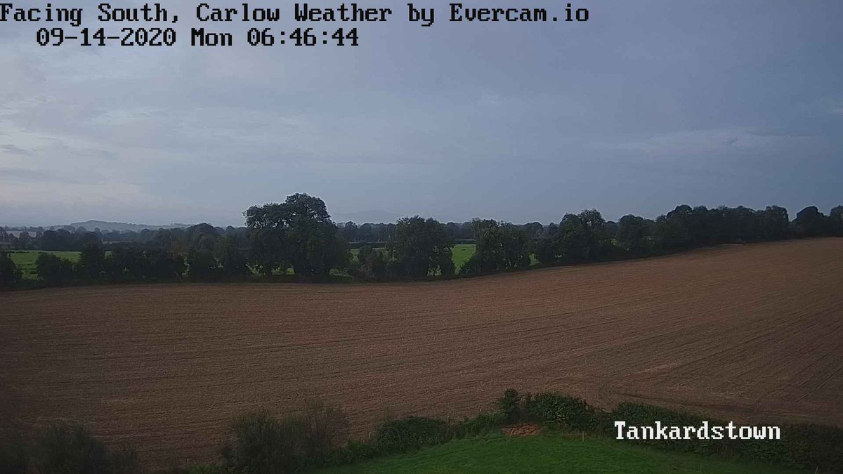 Carlow Weather tweet media