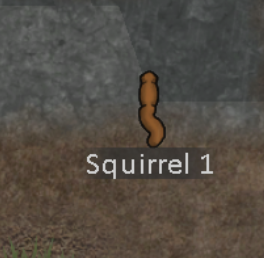 a squirrel self-tamed! what shall we name her?