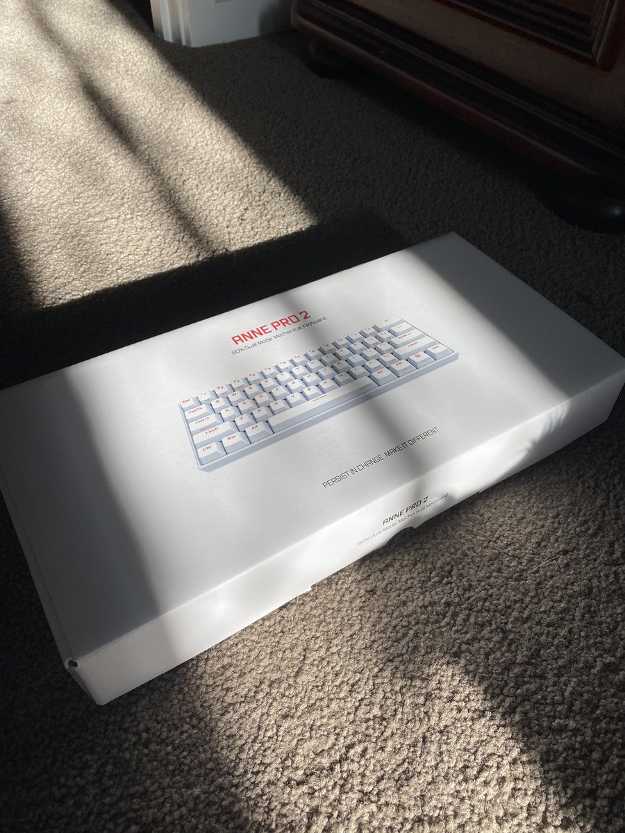 JustDash tweet media