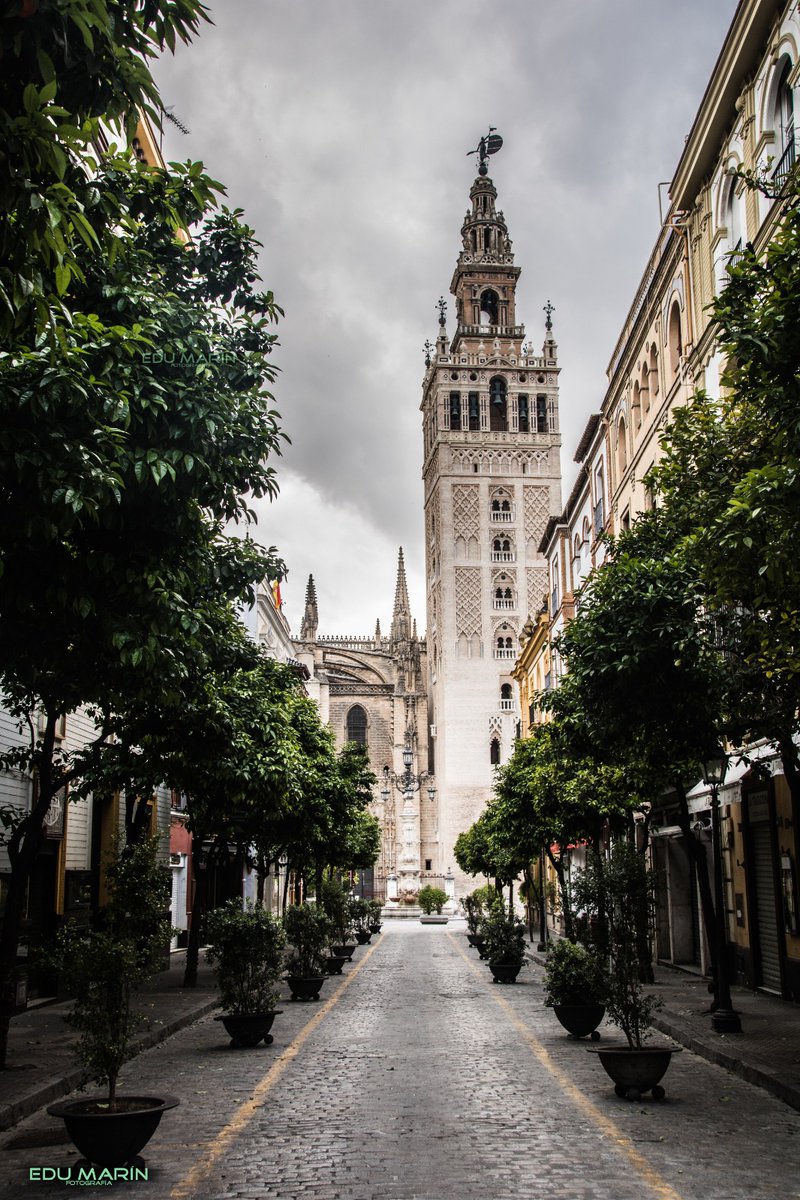 Edusentencia's tweet photo. Seguimos con la saga de fotos que aparecen en otras cuentas sin citar y con firma recortada. Foto especial, histórica y llena de sentimientos. 
Sigamos las cuentas de los que se lo trabajan
#Norobesmisfotos 
𝔻𝕆𝕄𝕀ℕ𝔾𝕆 𝔻𝔼 ℝ𝔸𝕄𝕆𝕊 2020.   -19:00h- https://t.co/TCIK2Nl5Oc