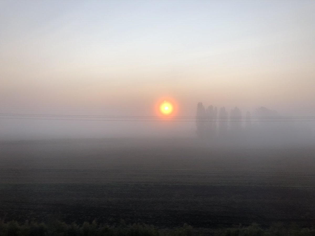 CGraves88's tweet photo. Some real Kate Bush weather on the #fens this morning... π
#sunrise #mondaymist #mondaythoughts #totheoffice #mistymorning https://t.co/9k1hS98r9Z