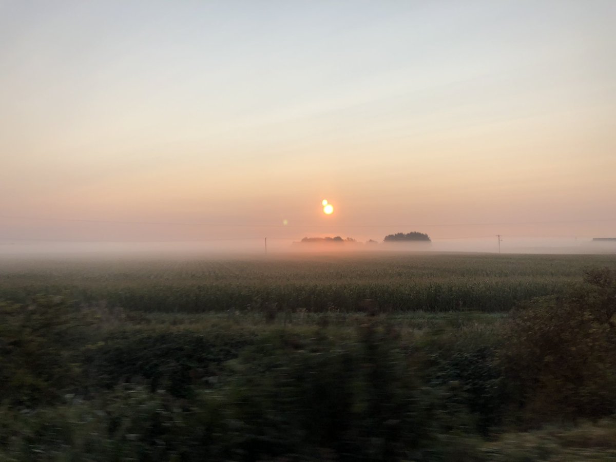 CGraves88's tweet photo. Some real Kate Bush weather on the #fens this morning... π
#sunrise #mondaymist #mondaythoughts #totheoffice #mistymorning https://t.co/9k1hS98r9Z