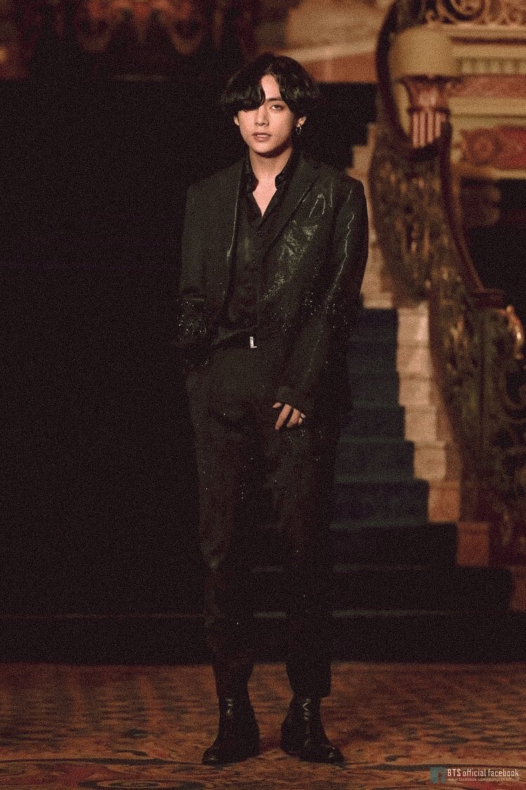 black swan superior