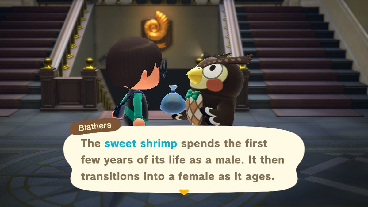 Blathers said TRANS RIGHTS