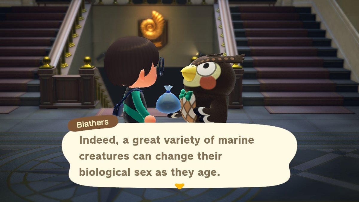 Blathers said TRANS RIGHTS