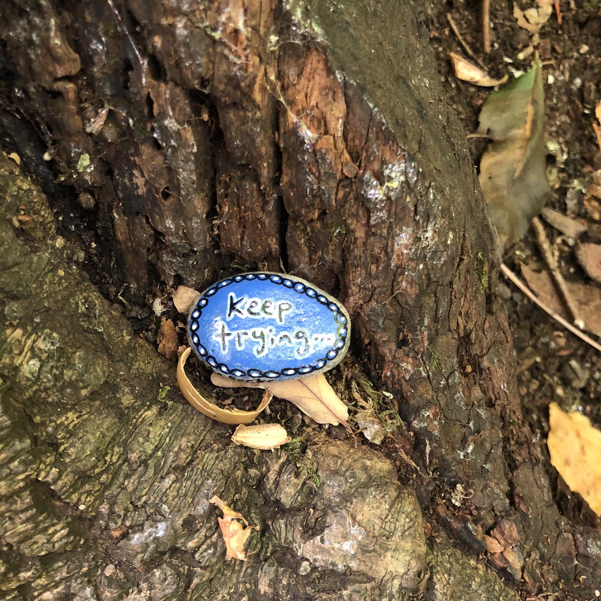 CompassionateRo's tweet image. We all need a little encouragement to keep trying.

#pebbleswithpurpose #dontgiveup  #rockpaintingart #rockpainting #paintedrocksrock #paintedrocks #keeptrying #compassionrocks #compassionaterocks #365daysofcompassion #dontgiveuponyourdreams #dontgiveuponyourself #keepgoing