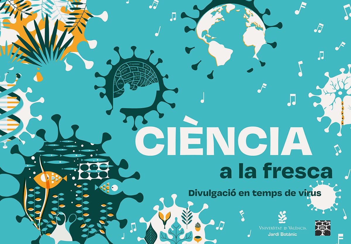 La Física del Grel tweet media