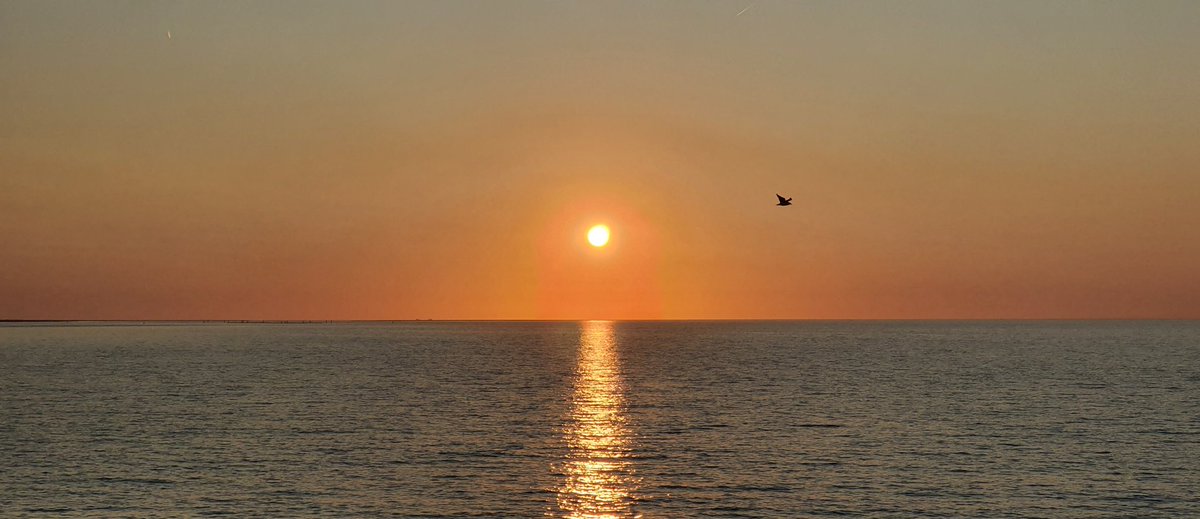 Havenlust's tweet photo. “Today will be a good day. So wake up and smile”🕊️❤️ https://t.co/lwdrzNVCGa