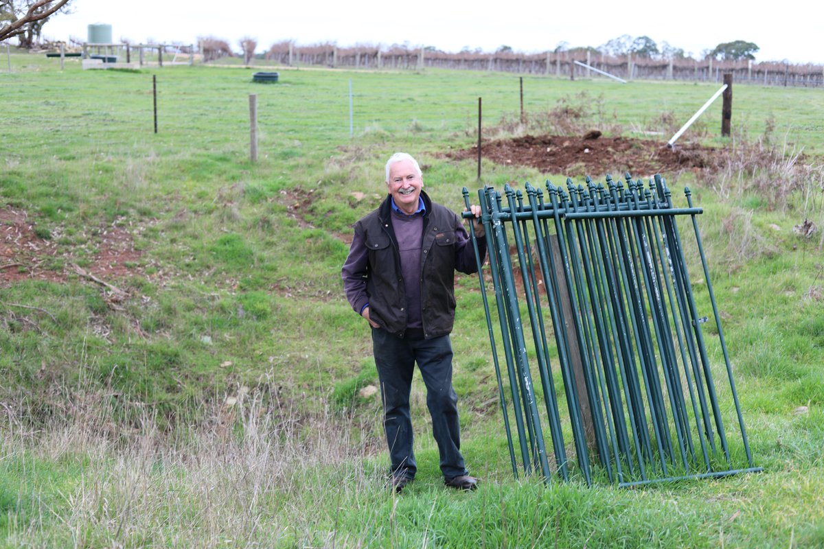 RetallackViti's tweet photo. Today we showcase #EcoGrower Peter Freckelton from Cave Ridge Vineyard, Wrattonbully. Peter has a colony of microbats living in caves on his property. Did you know that microbats can eat up to to half their body weight in insects 🐛 each night? 🦇
https://t.co/gGFidJ1Dmk @wgcsa_ https://t.co/R9MUcd6wLV