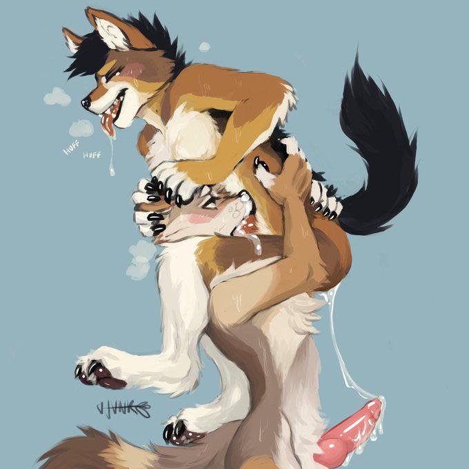 Cleaning Up (Unknown artist) #nsfw #furryporn #yiff #yiffbot https://redd.i...