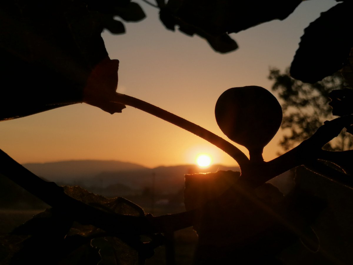paquisoldado's tweet photo. #Boondia des de #Tona comencem #dilluns amb #celllis i el #sol que ja ens escalfa!! 🙌
#osona
@esolerdelcoll
@SoldadoTonyi @SoniaPapell
@rosa_tanti #meteocat @rbartolisala
@Monica_Usart @meteorac1 @AlfredRPico @alcantara_alb @javioru
@Cat_Meteo @MeteoBac #ElTempsTV3 https://t.co/vMpu9hhSwh