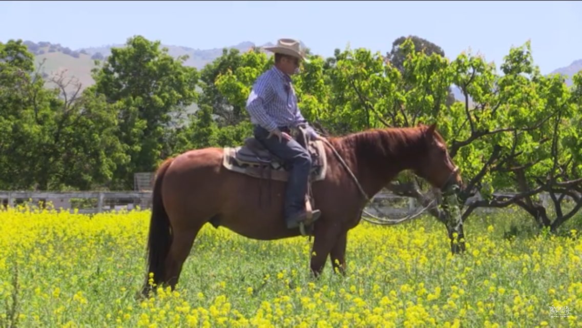 BaneBarlow's tweet photo. If I give my “not near enough” to the Lord, He will give His “more than enough” to me.
https://t.co/7aI1v7Dpqq
#readaboutacircuitrider
#turnercreekseriesbooks https://t.co/freslMdHll