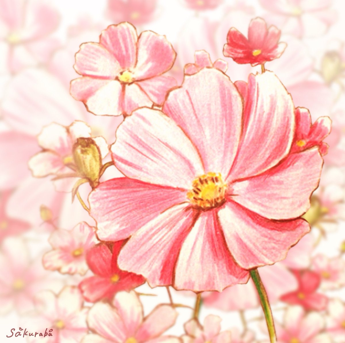 Sakuraba デザフェス5 21 22 B 317 池袋ロフト 4 4 No Twitter Kate B Cats わぁ ありがとうございます Twitter