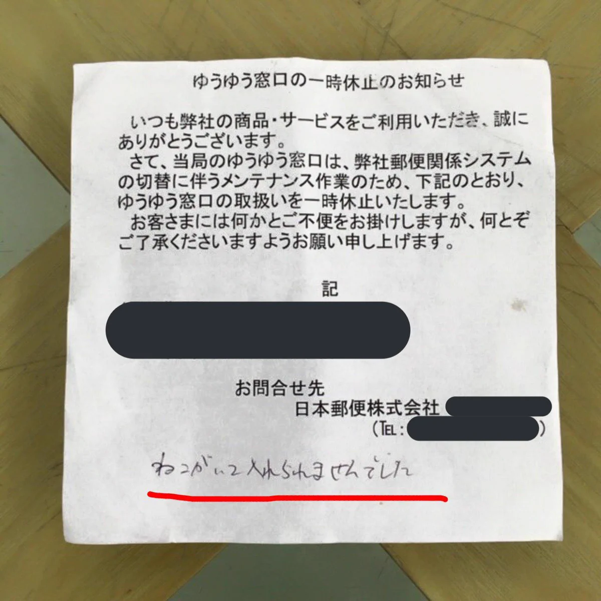 不在票に書かれた「猫がいて入れられませんでした」とは？試してみたら本当に猫が押し出していた！