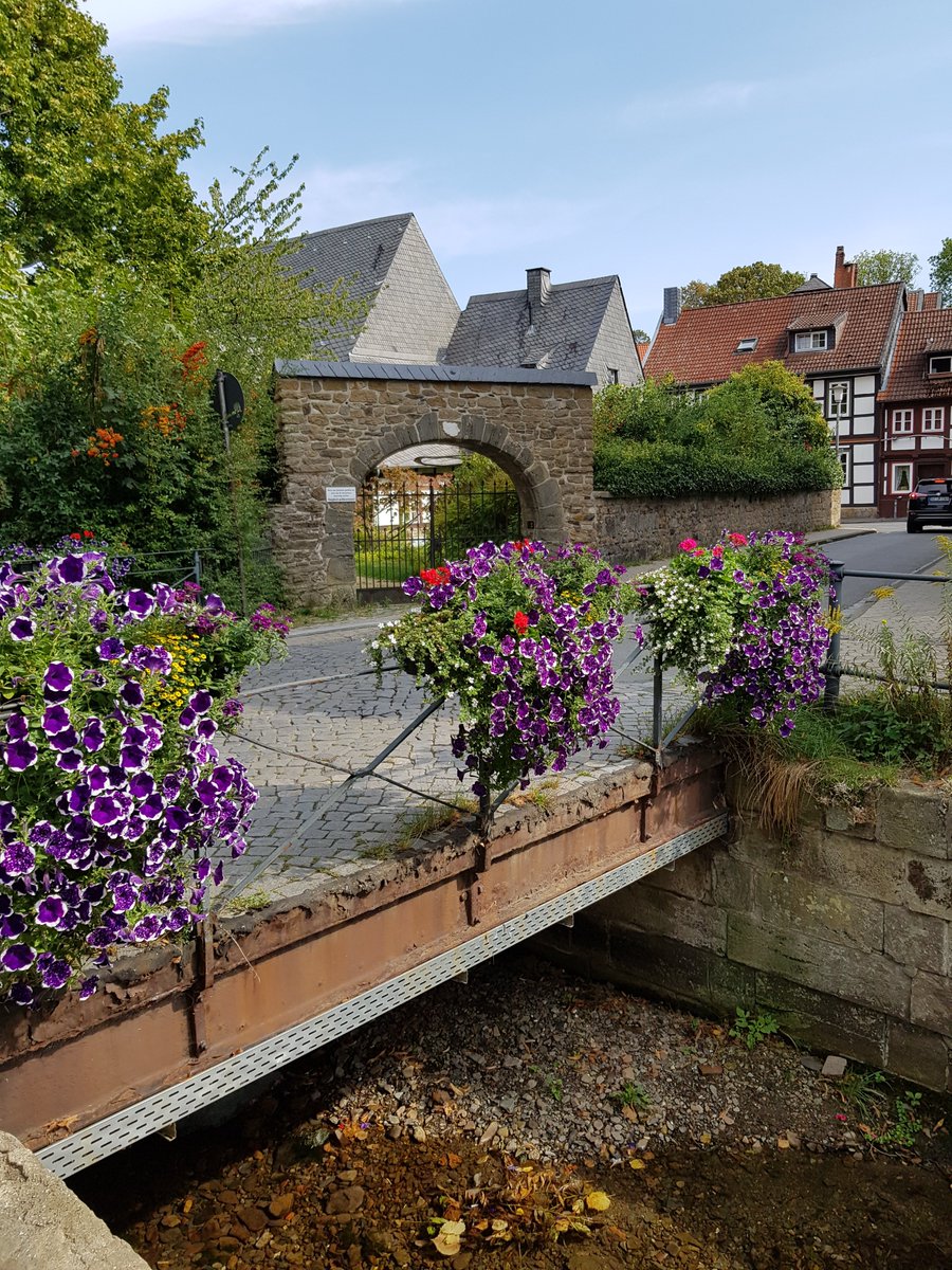 SteffiVoges's tweet photo. #abzuchtblumen #anderabzucht #abzucht #altstadtgoslar #visiteurop #visither #visitharz #städteurlaub #urlauber #natürlichschön #naturfoto #meinniedersachsen #lebenlieben #goslar #ferienwohnung #abzuchtperle #unceokulturerbe # #unceo #weltkulturerbe #meingoslar https://t.co/8IbepMoiGH