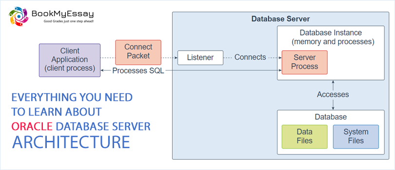 Book_My_Essay's tweet image. Every student need to learn about oracle database server architecture and they are face many problem in assignment writing related to this topic then hire BookMyEssay.
read blog: bit.ly/3mfVQUd
#OracleAssignmentHelp
#AssignmentWritingHelp
#BookMyEssay