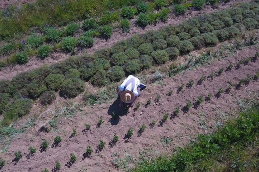 EFFICYCLE tweet media