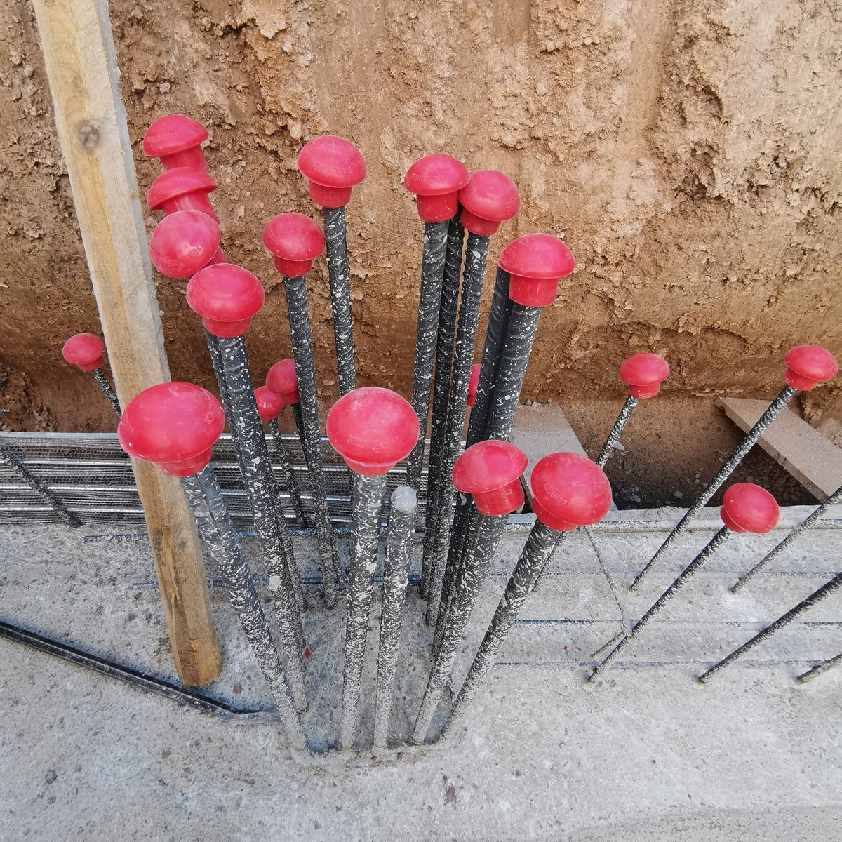 Ferralla flowers. Vivienda unifamiliar en Alfafar en proceso. <a href="/JorgeRuizBoluda/">Jorge Ruiz Boluda</a> 

Construye: CMO Valencia
Coordinación y dirección de ejecución: Enrique Amorós Vida