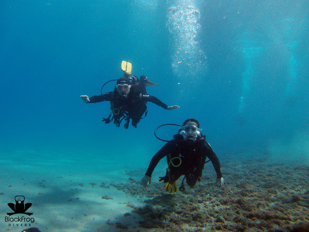 The only mask you will be happy to wear! Give yourself a moment of freedom in all this mess!
La unica mascara que te gustara poner!

#mask #scubadivingmask #scubadivingequipment #happydiver #scubaiving #freedom #covid19 #scubadivingandcovid