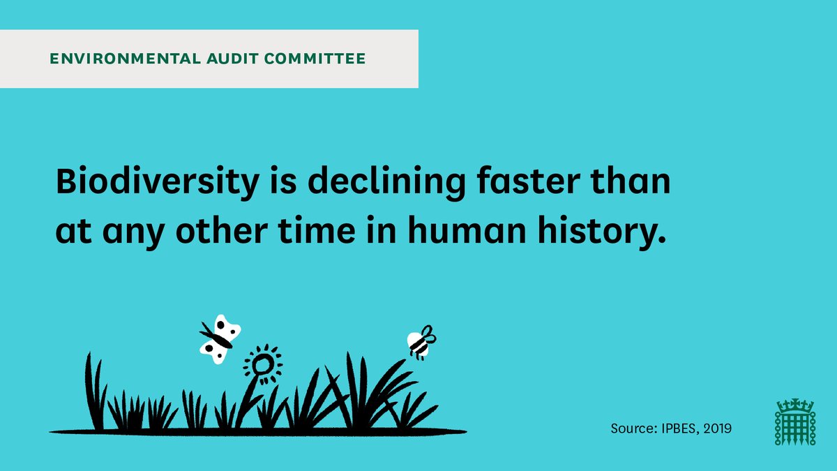 Sir #DavidAttenborough’s documentary #ExtinctionTheFacts highlights the urgency needed in tackling biodiversity loss now. Our inquiry on how to best protect and enhance biodiversity will start hearing evidence in mid-October, follow at bit.ly/EACbio🌍

#EACbiodiversity