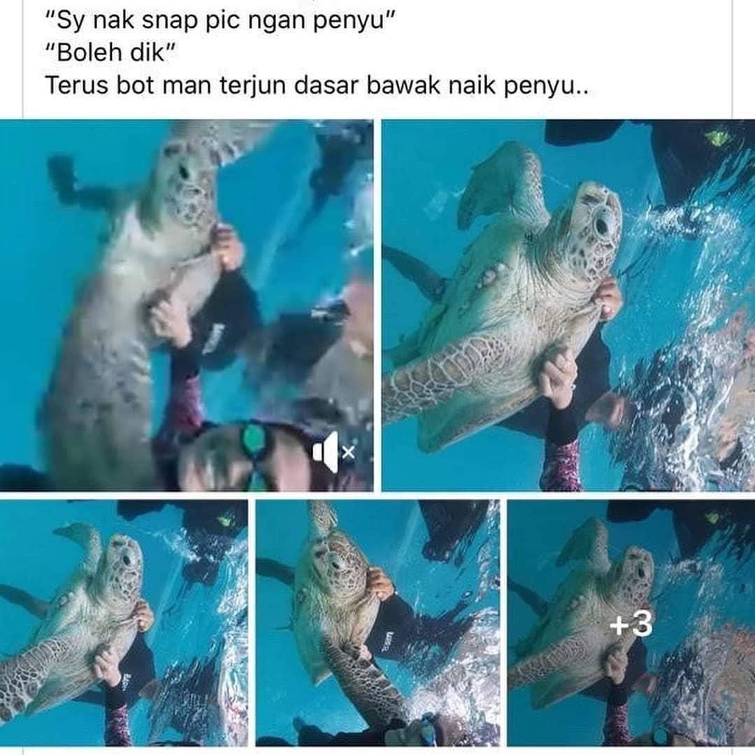 thehaniff's tweet photo. Nampak di facebook. Ada jugak orang kita yang begini ye bila pergi bercuti. Nak bawak balik bela kat rumah ke Nemo tu? https://t.co/wF18qkPASM