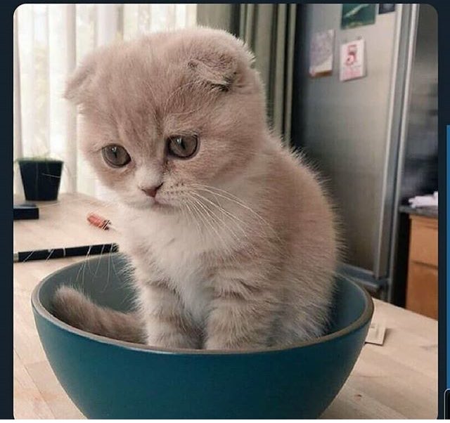 Şimdi bana neden öyle dedi ki ?