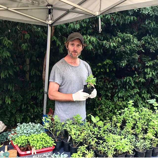 The Rookery Farmers Market tweet media