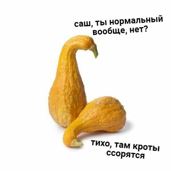 сон Маяковского (@mikhasya8080) on Twitter photo 