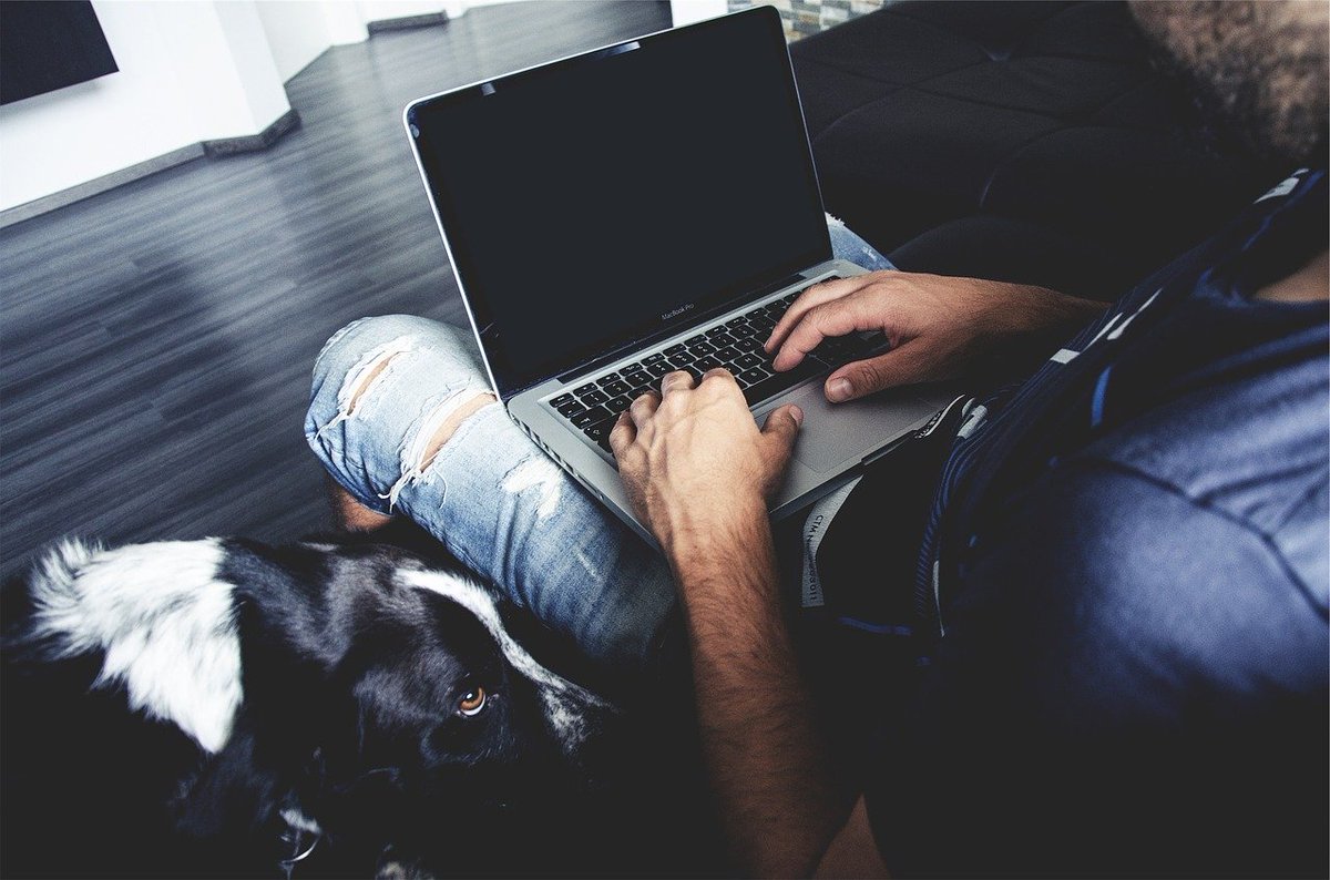 KeyRiskWorkComp's tweet photo. Working at home with your pet? Be sure to include your four-legged co-workers in your #HurricanePreparednessPlan too! #PetPreparedness 

https://t.co/Be4oMQLUa8 https://t.co/mw0UzzY6X4