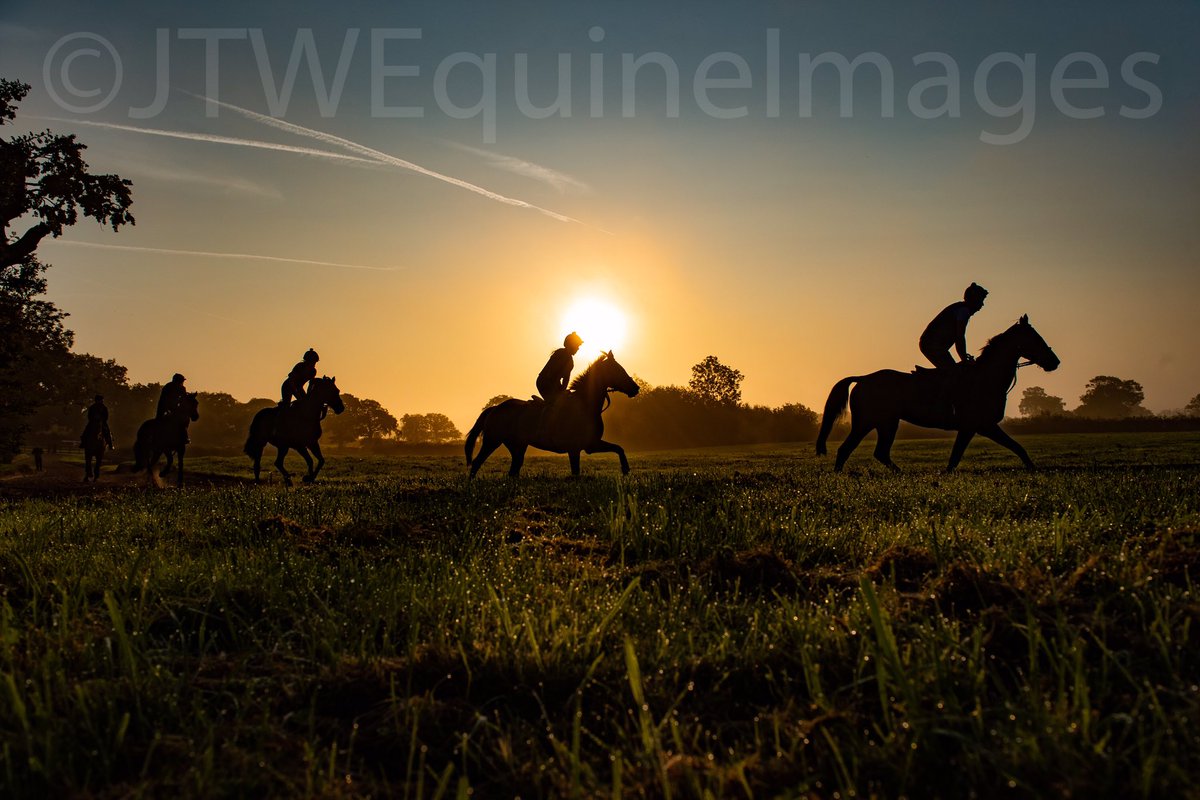 JTWEquineImag's tweet photo. One from a stunning morning earlier at @AllwoodSj. First Lot, led by the trainer aboard Rob The Getaway, go around the circular gallop as the sun rises and burns off the mist. https://t.co/aOWMMZ66YT