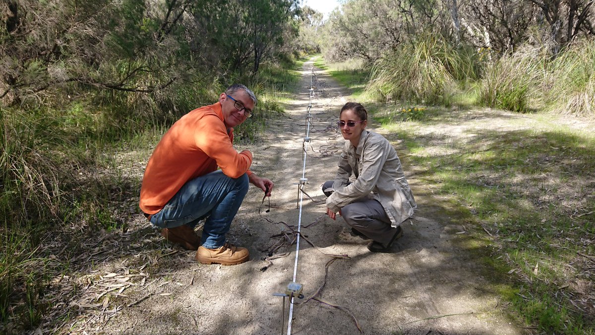 Helped DBCA &amp; UWA staff conduct a groundwater survey at Lake Clifton today #Ramsar482. Using a technique known as Electrical Resistivity Tomography a 2D image is generated of the ground down to about 20m.  DBCA's Gavan McGrath &amp; Josie Hyde setting up. <a href="/LandcareAust/">Landcare Australia</a> <a href="/PeelHarveyCC/">PeelHarveyCC</a>